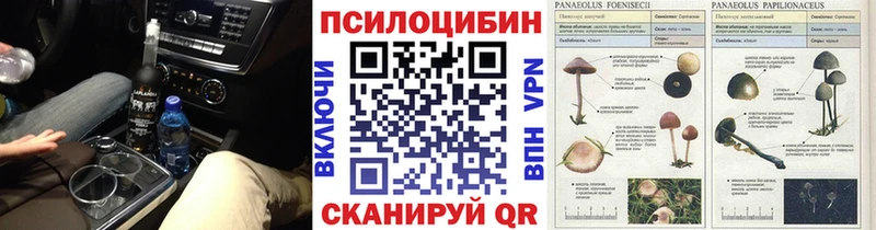 Купить  Аша  Псилоцибиновые грибы Magic Shrooms 